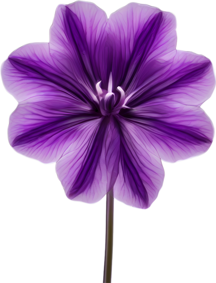 AI generated Violet flower. Close-up glowing translucent violet color flower. png