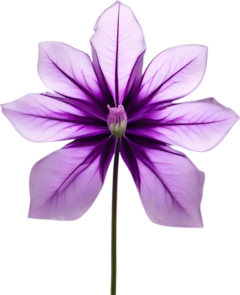AI generated Violet flower. Close-up glowing translucent violet color flower. png