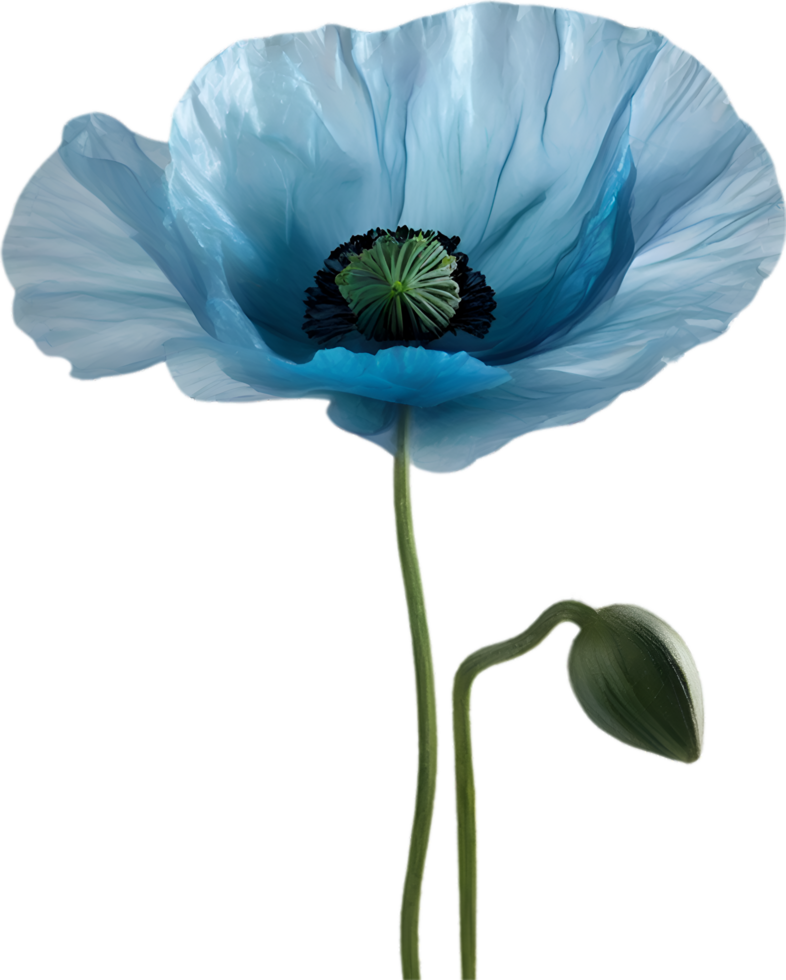 AI generated Poppy flower. Close-up of a cute poppy flower. png