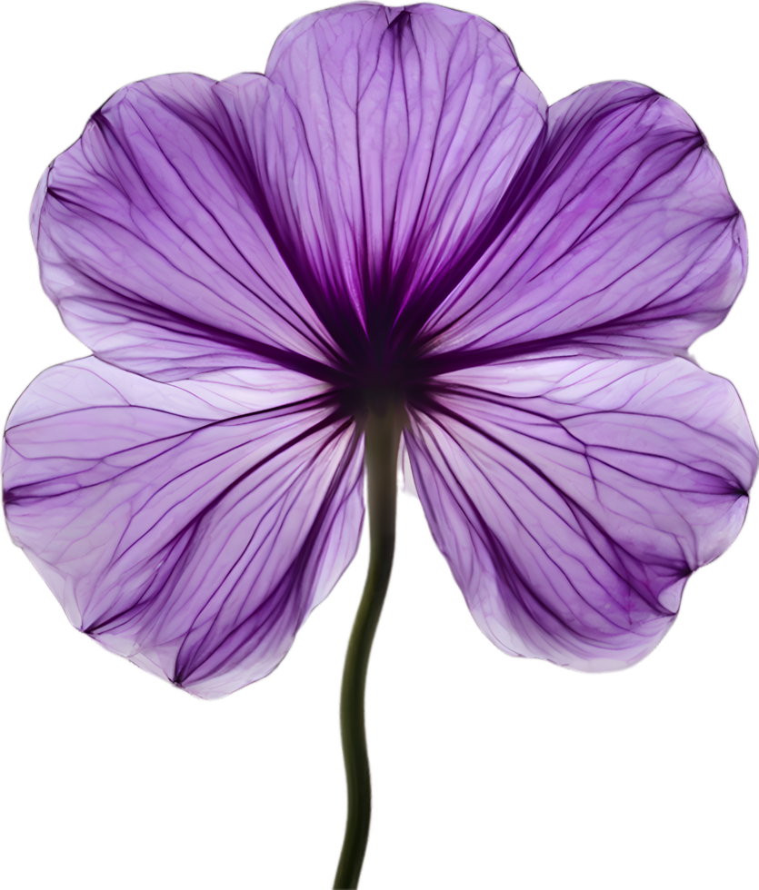 AI generated Violet flower. Close-up glowing translucent violet color flower. png