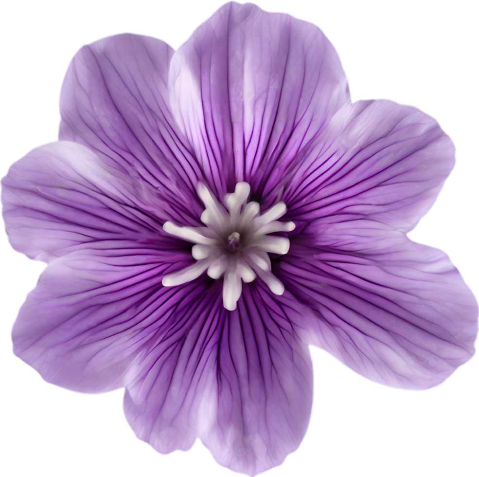 AI generated Violet flower. Close-up glowing translucent violet color flower. png
