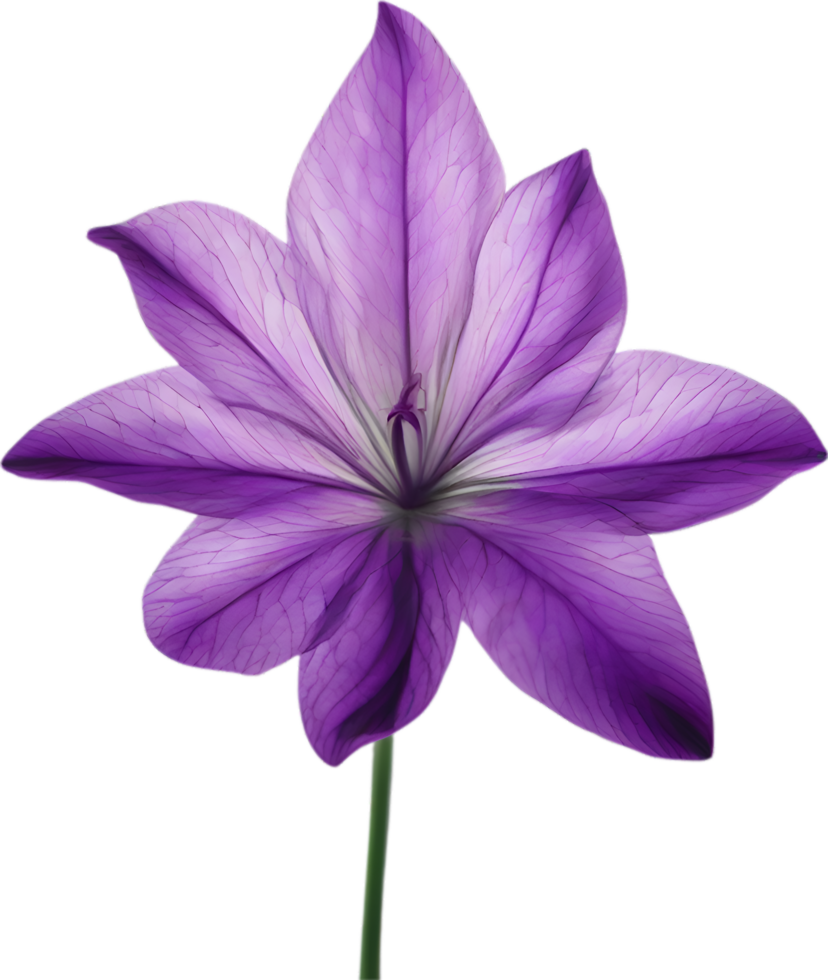 AI generated Violet flower. Close-up glowing translucent violet color flower. png