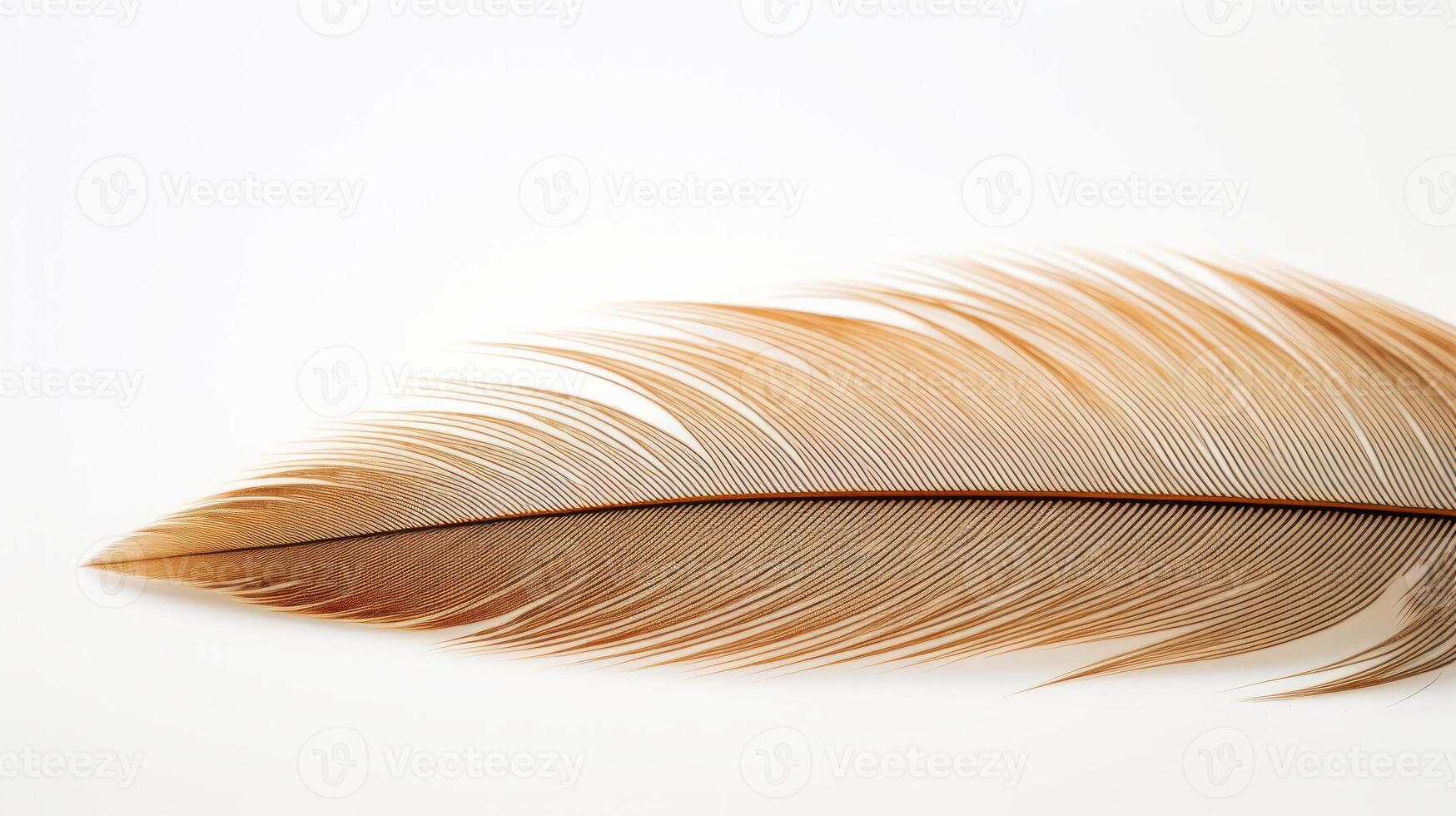AI generated a close-up of golden-brown feather against a white background photo