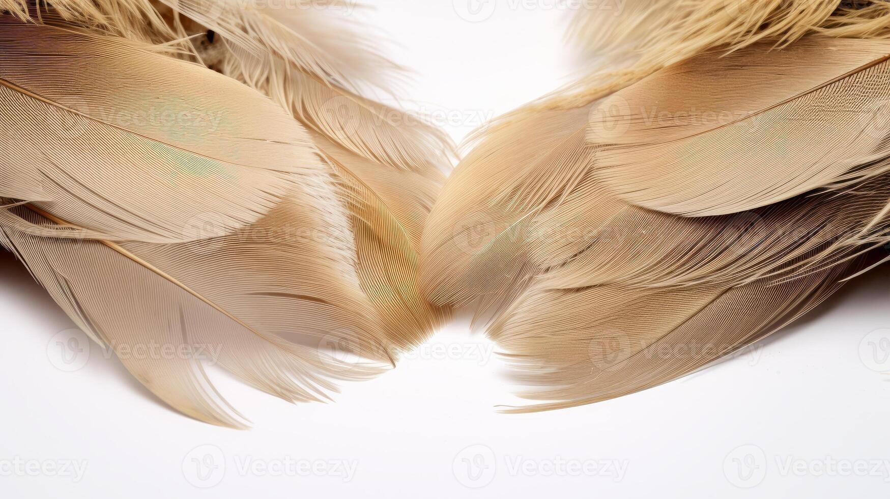 AI generated close-up view of soft brown feathers pattern against a white background. photo