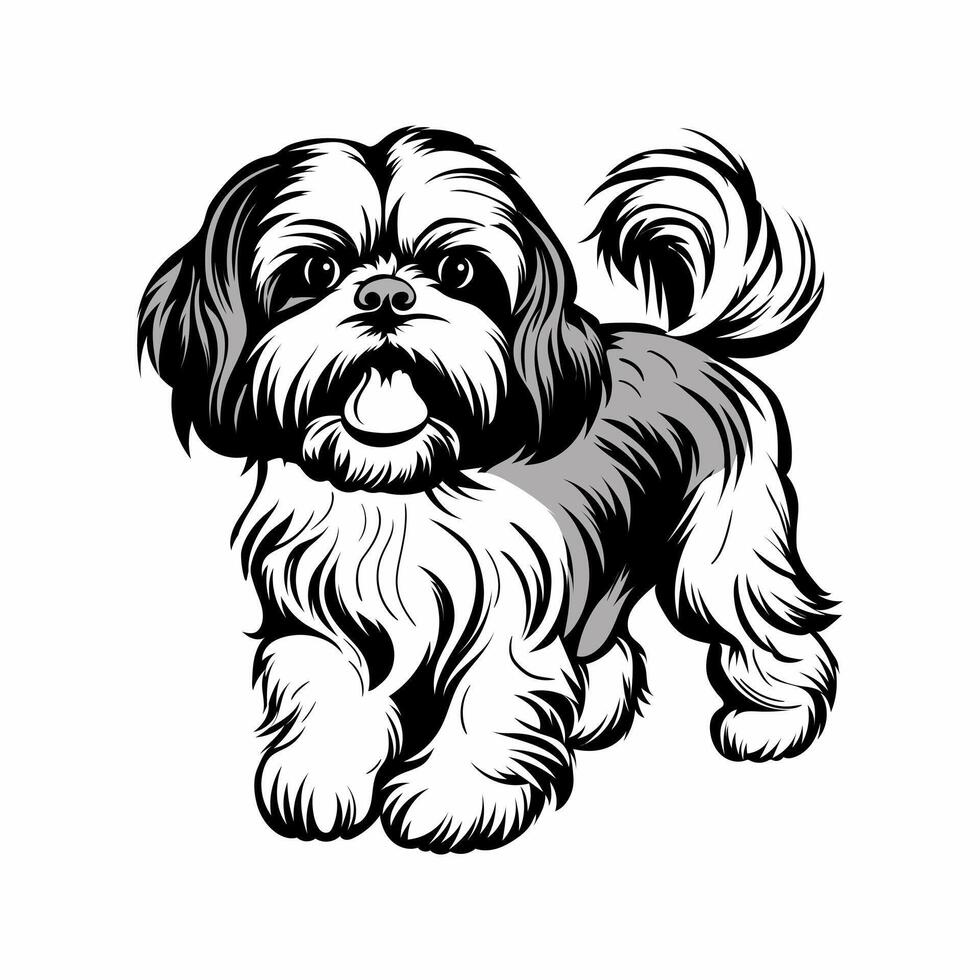 shitzu dog vector