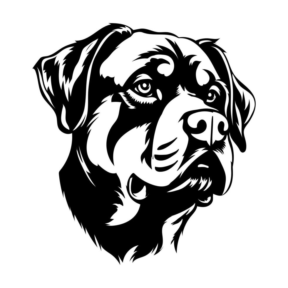 Rottweiler Dog Vector Illustration