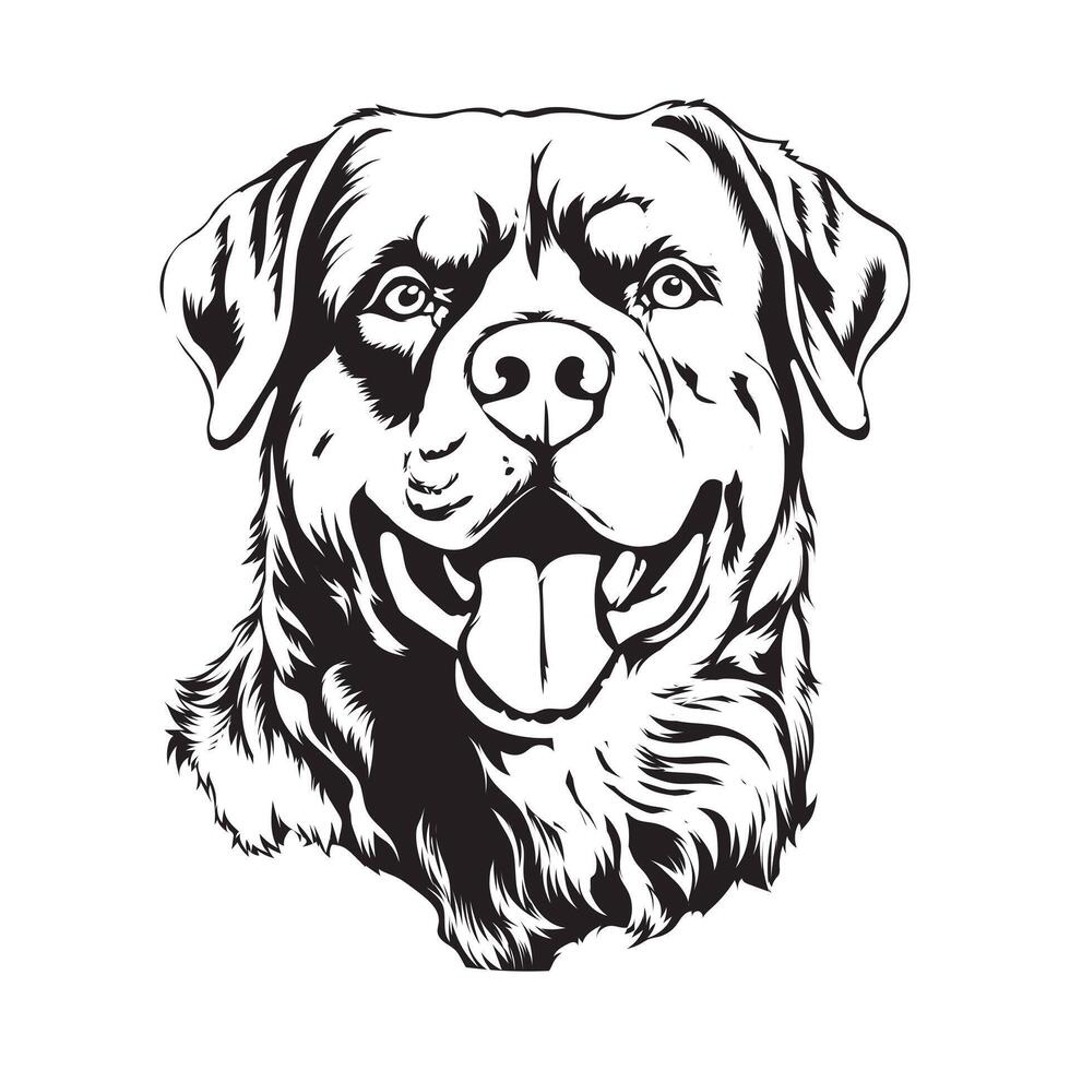 Rottweiler Dog Vector Illustration