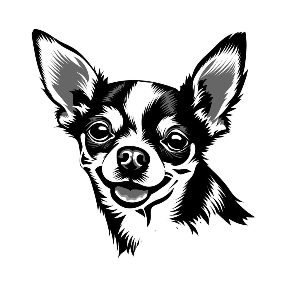 Chihuahua Vector Illustration