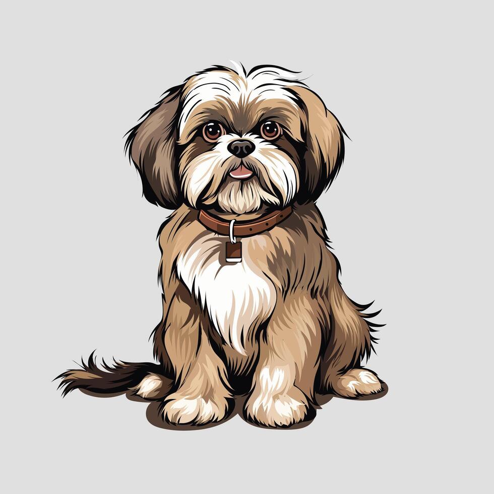 shitzu dog vector Illustration