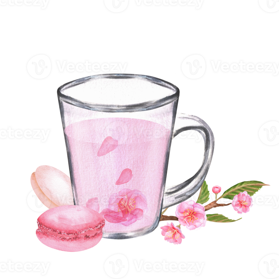Hand-drawn watercolor illustration. Glass cup with sakura tea, macaroons and sakura branch png