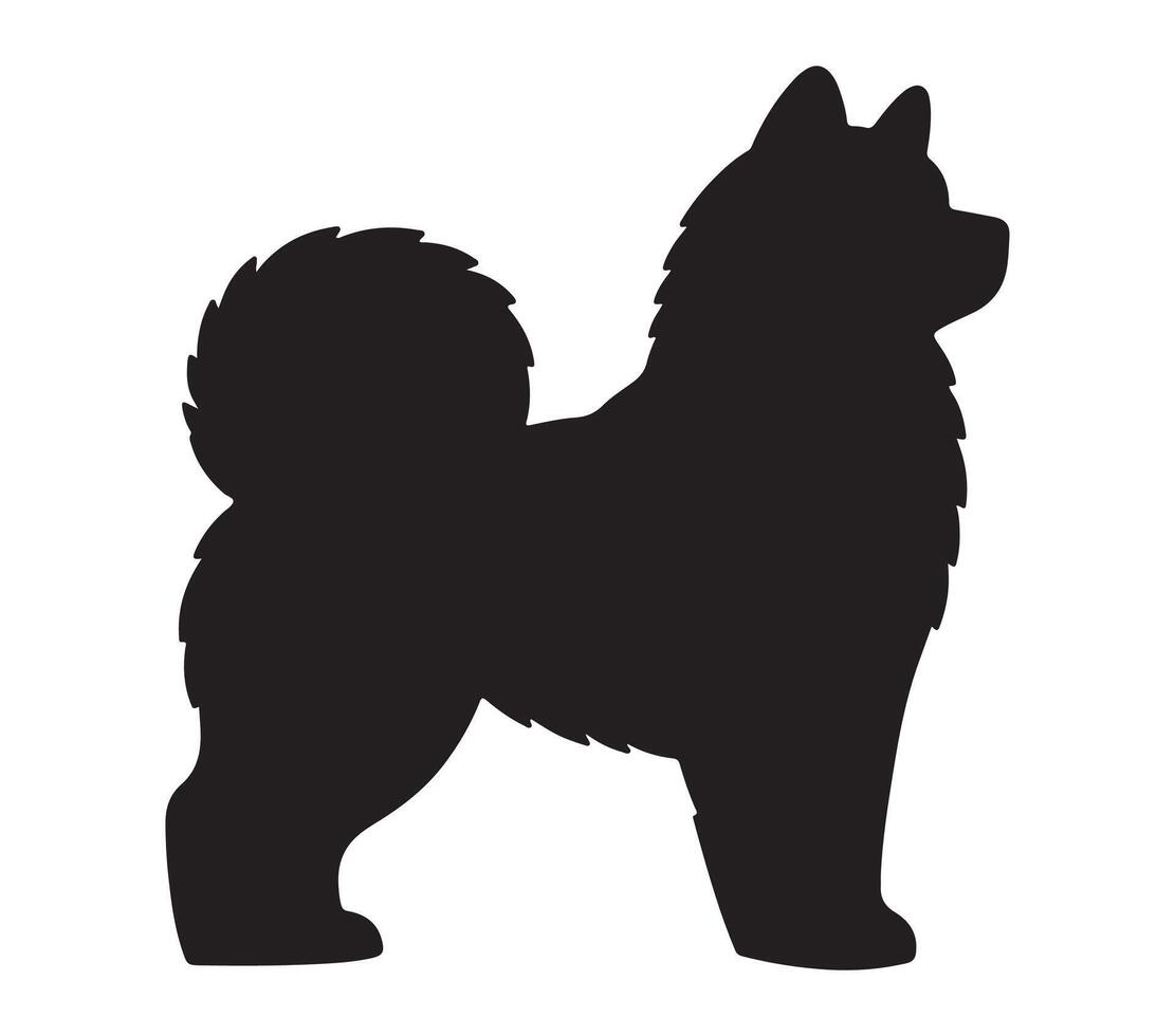 Vector graphic of akita.