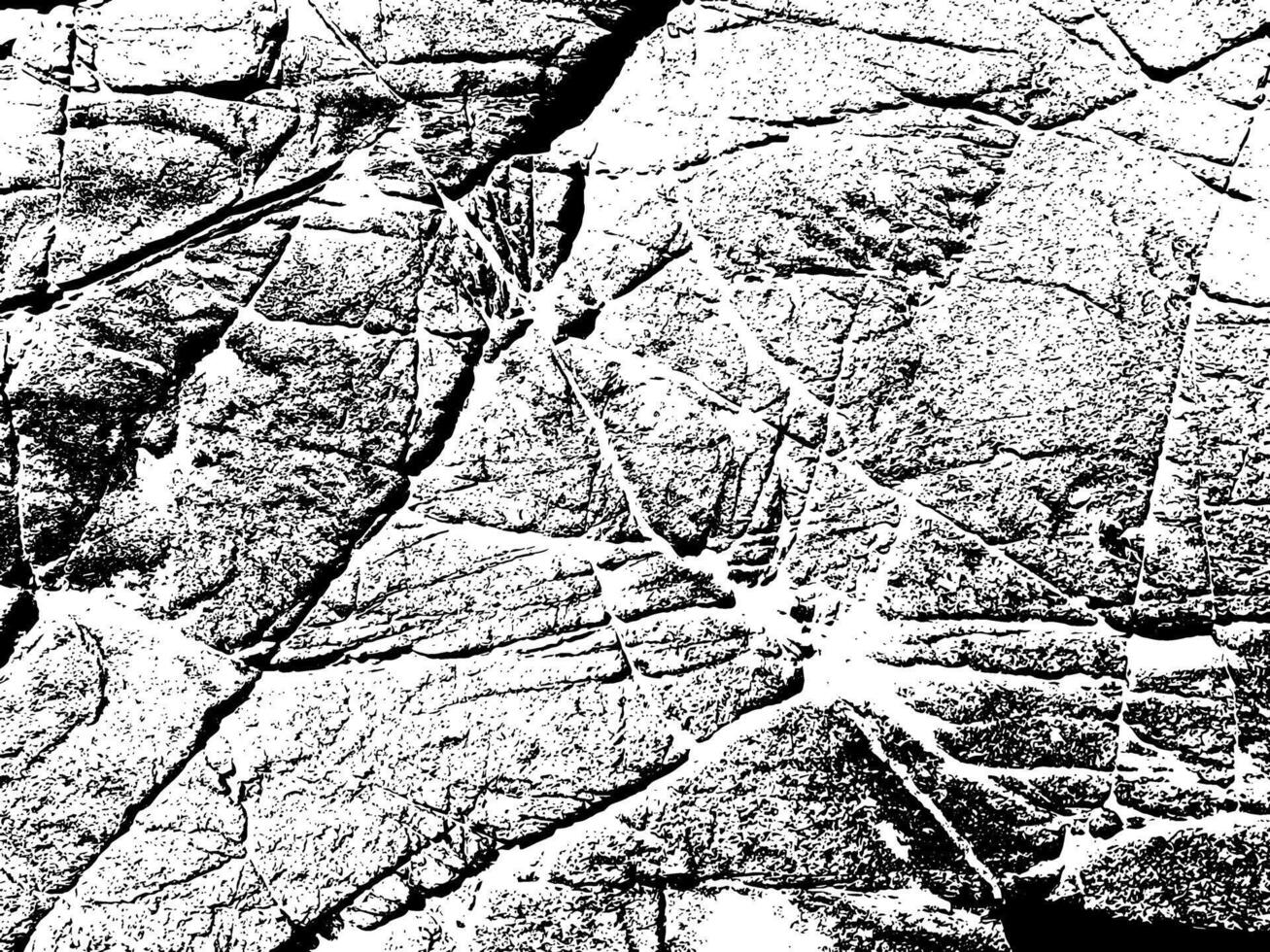 Tree trunk texture for background vector