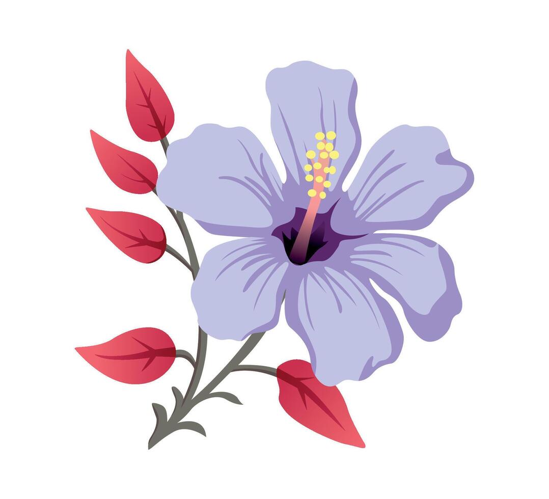 Hibiscus Flower vector illustration