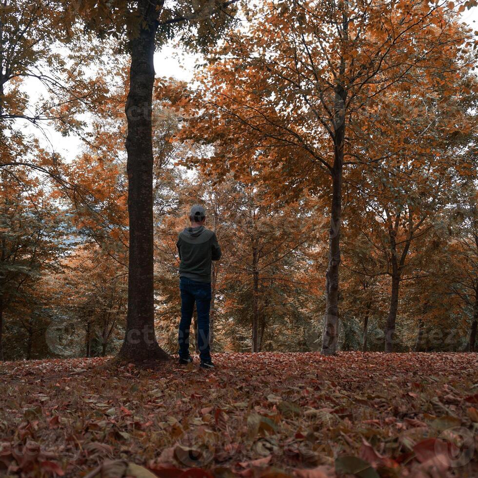 hombre trekking en el montaña en otoño temporada foto