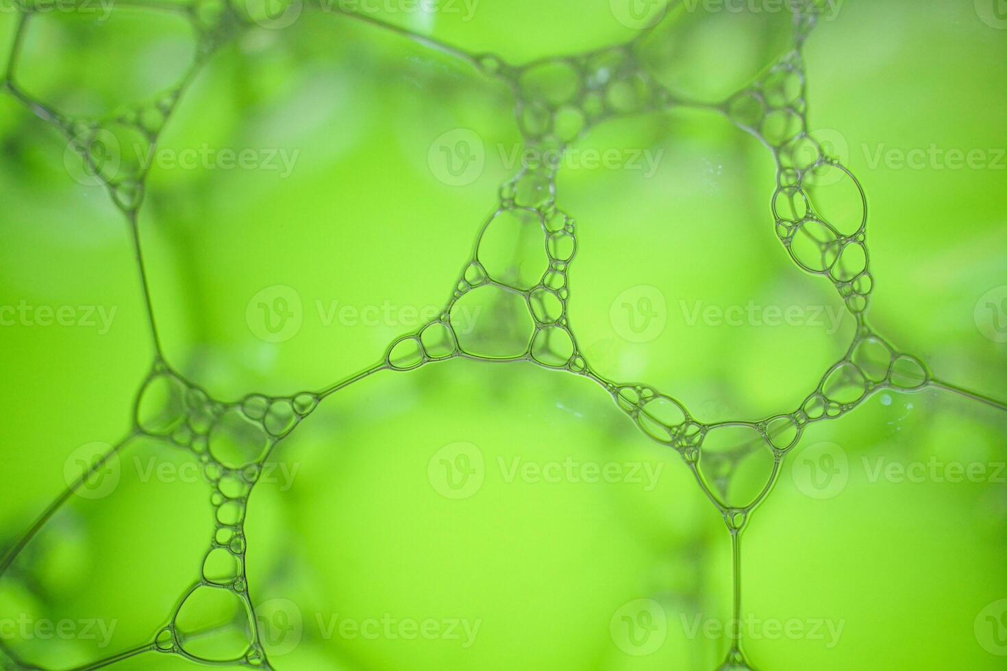 green soap bubbles, green abstract background photo