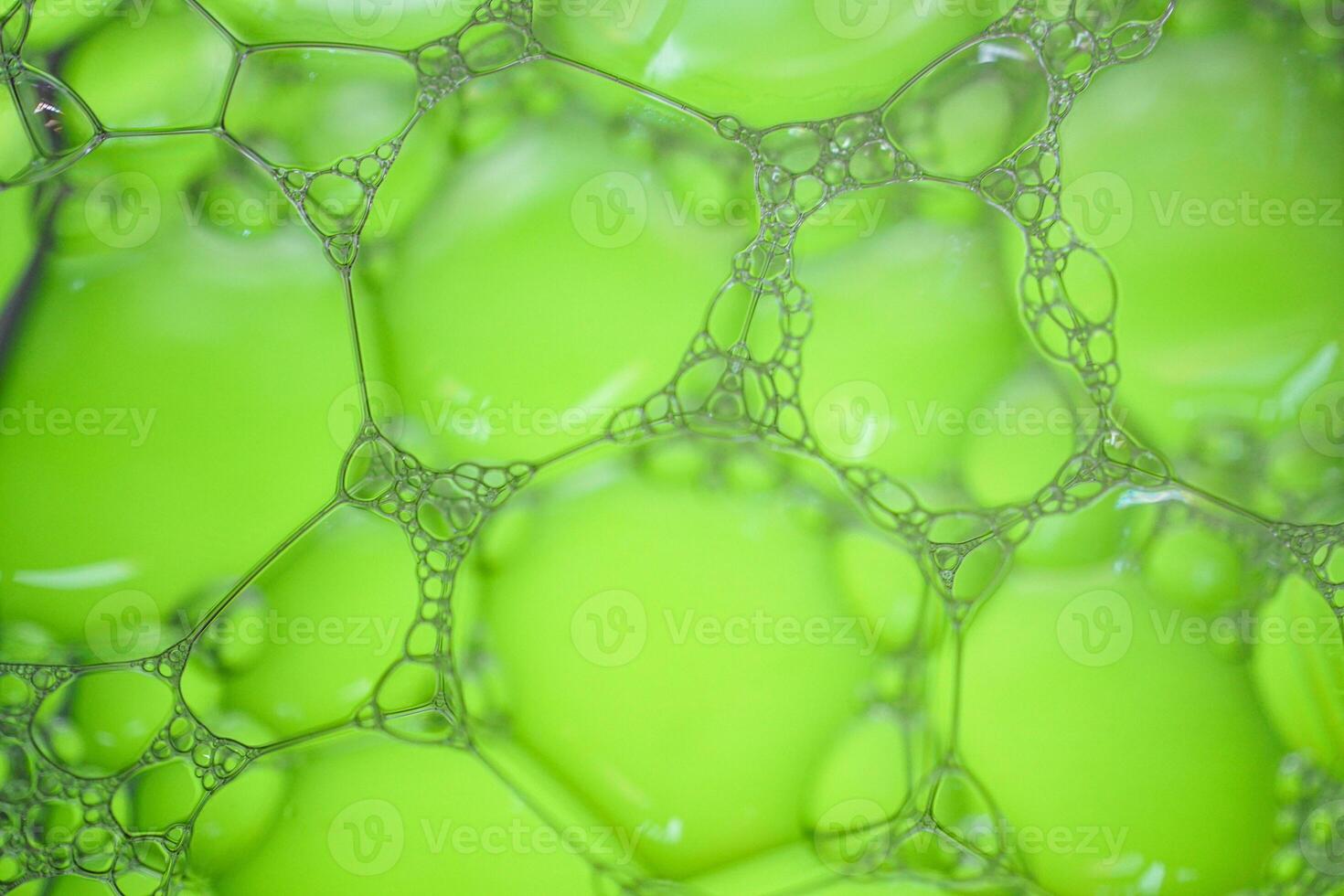 green soap bubbles, green abstract background photo