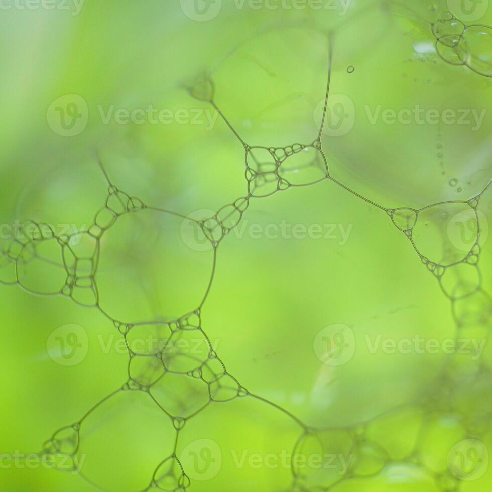 green soap bubbles, green abstract background photo