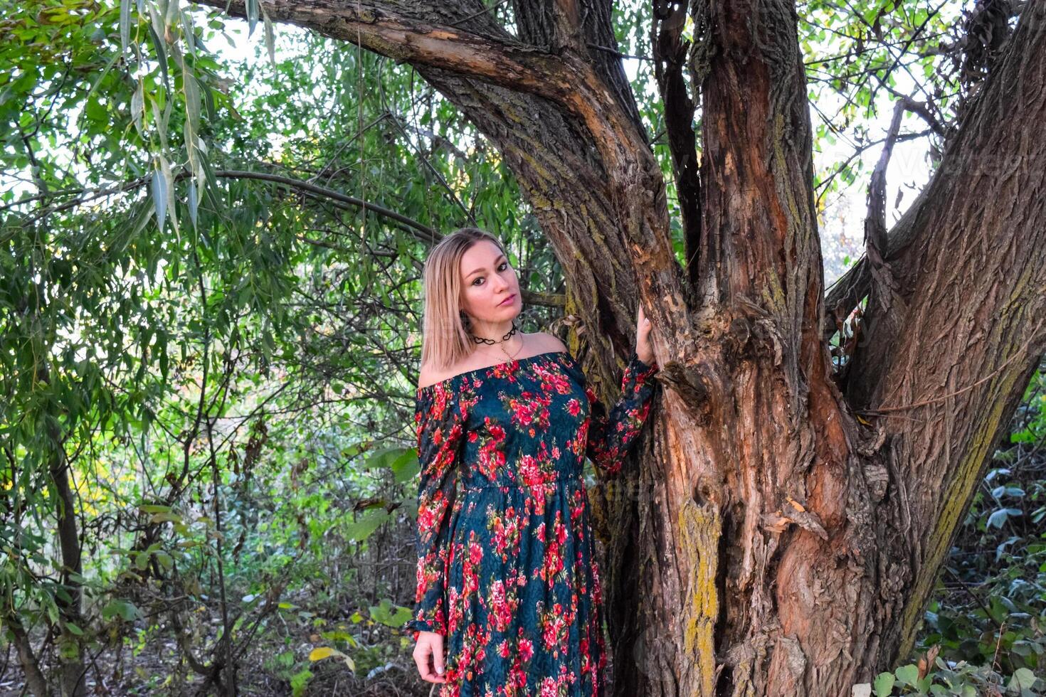 Lady under a big willow tree. Woman in a dress. photo