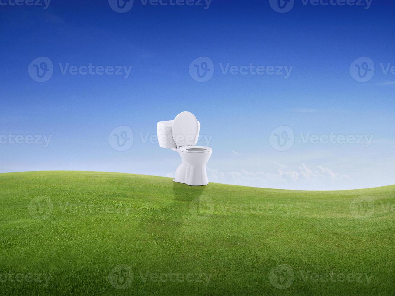 Toilet bowl on green meadow on small hill and blue sky with clouds photo