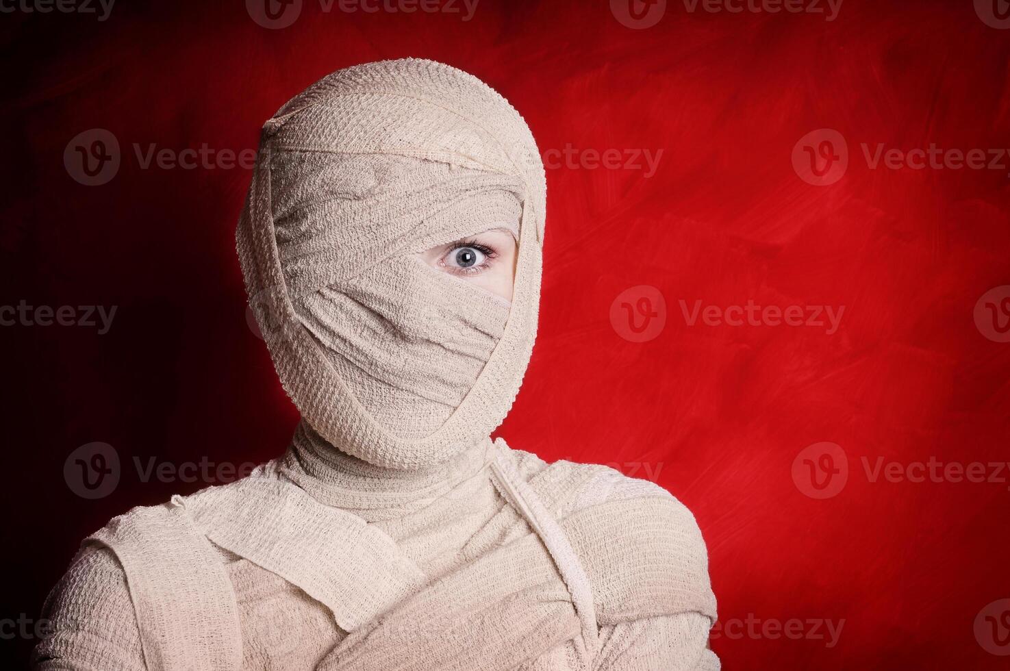 mummy halloween costume photo