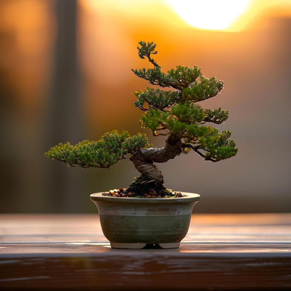 AI generated bonsai tree in a minimalist houseplant pot photo