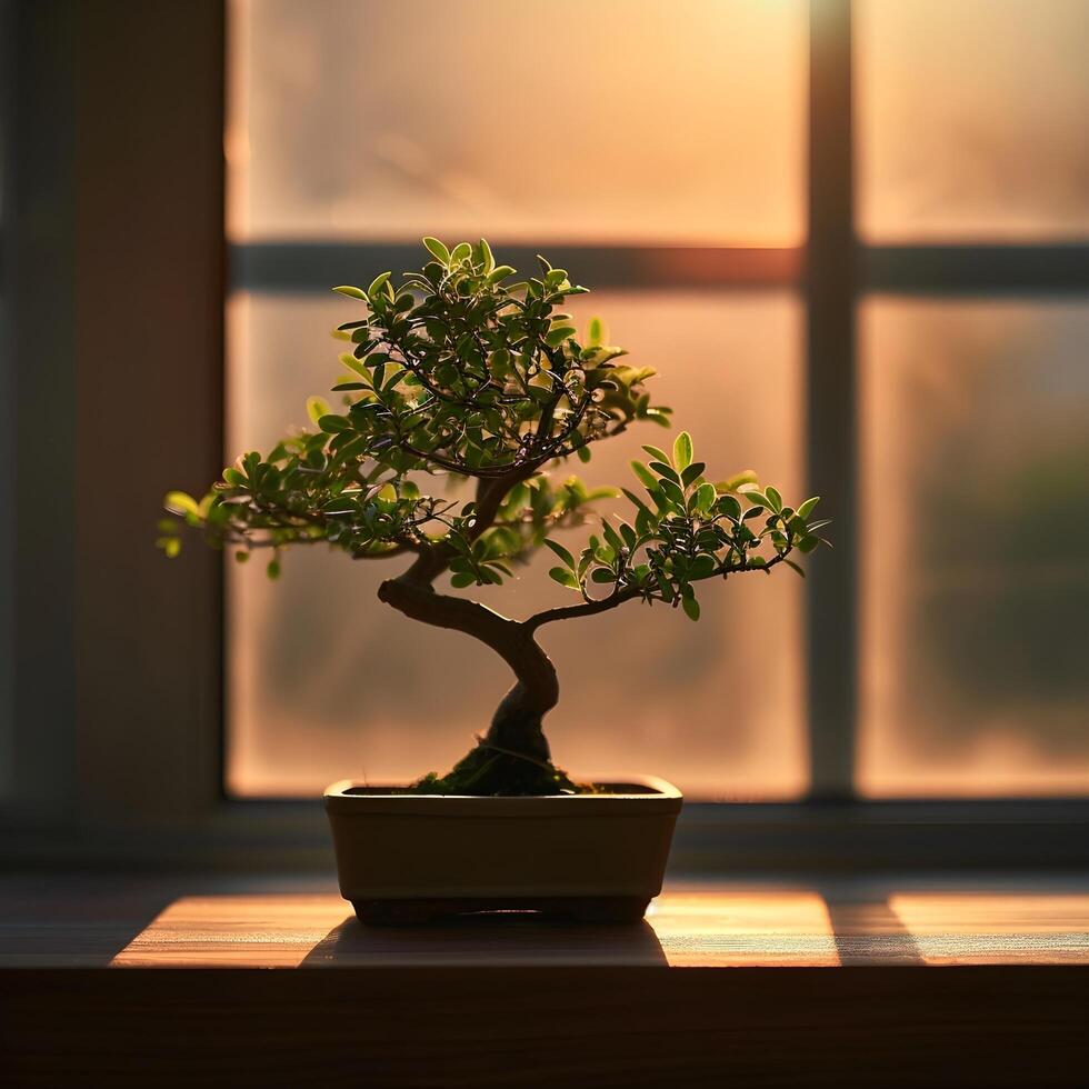 AI generated bonsai tree in a minimalist houseplant pot photo
