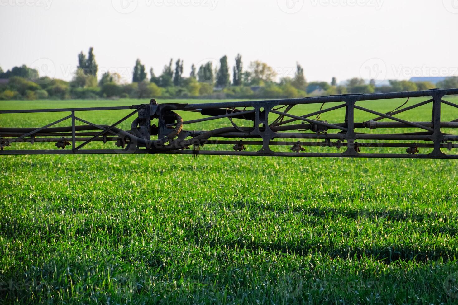 Jets of liquid fertilizer from the tractor sprayer. photo