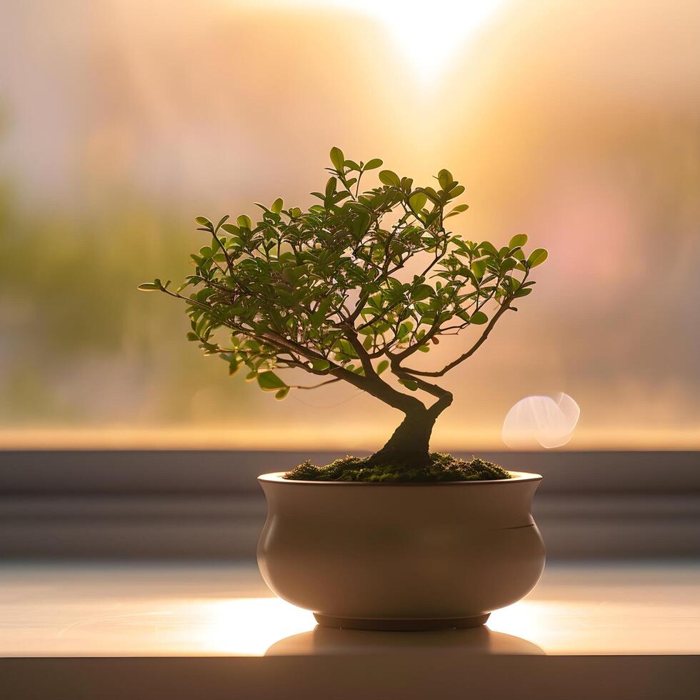 AI generated bonsai tree in a minimalist houseplant pot photo