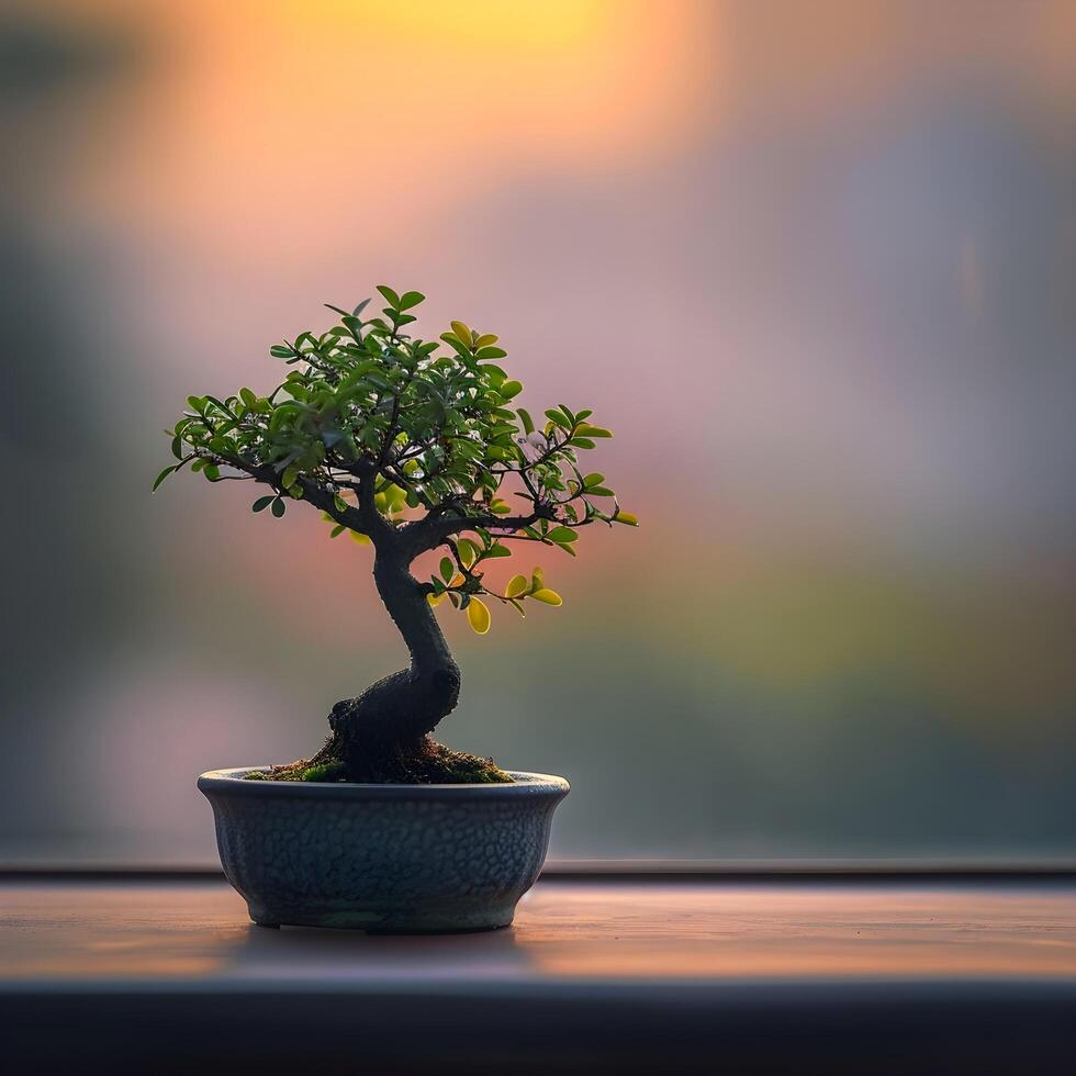 AI generated bonsai tree in a minimalist houseplant pot photo