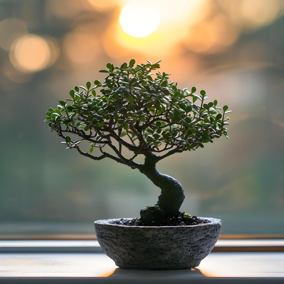 AI generated bonsai tree in a minimalist houseplant pot photo