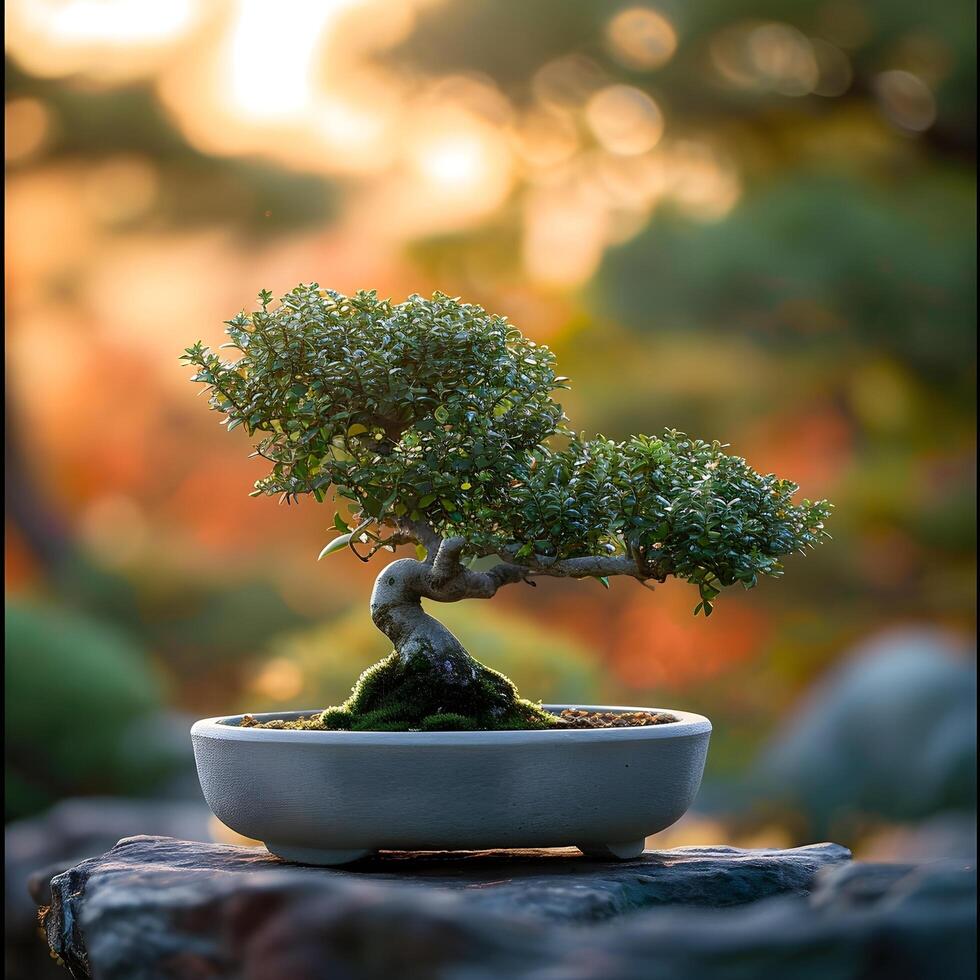AI generated bonsai tree in a minimalist houseplant pot photo