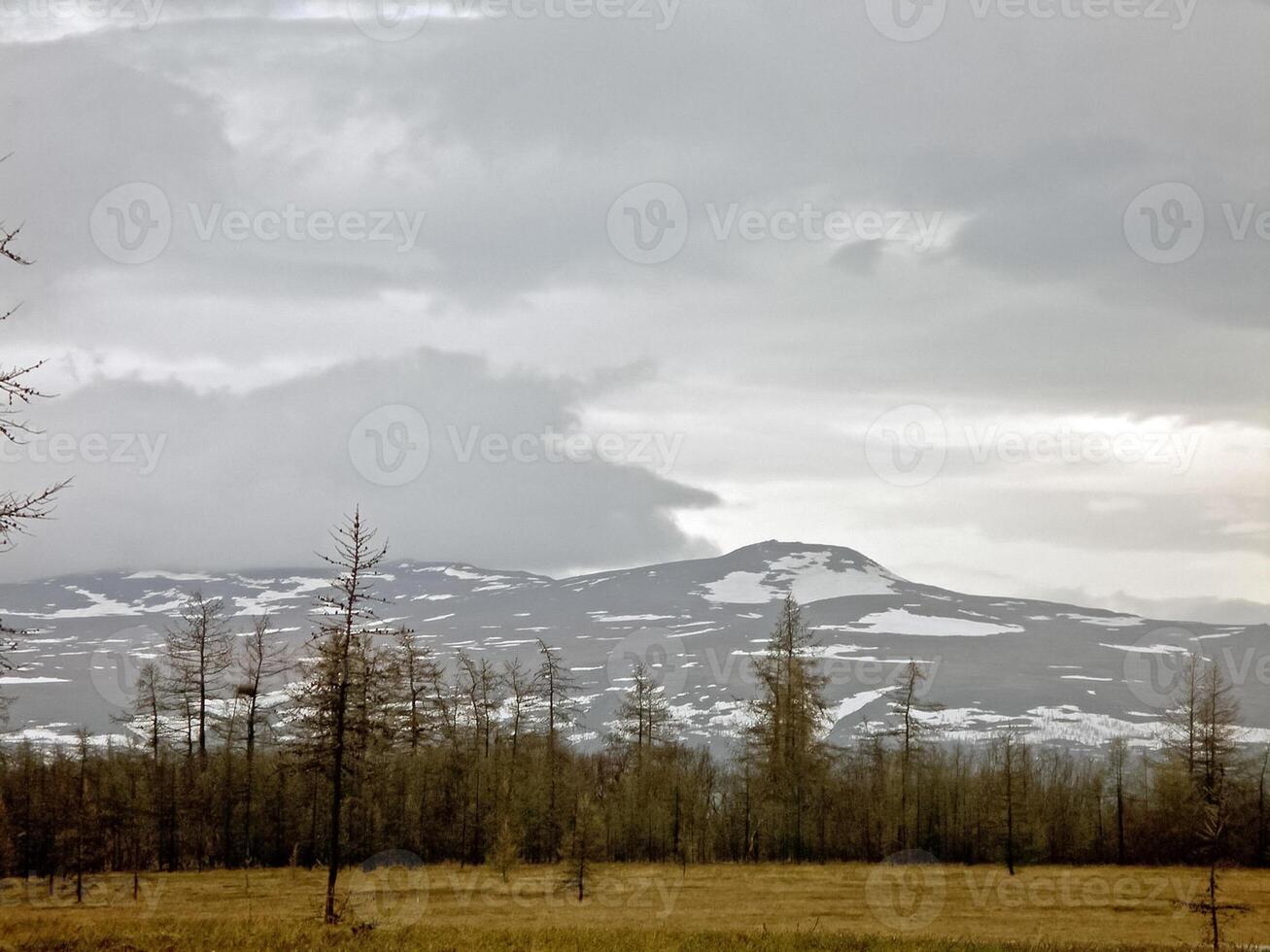 Autumn landscape in the forest and sky with clouds. photo