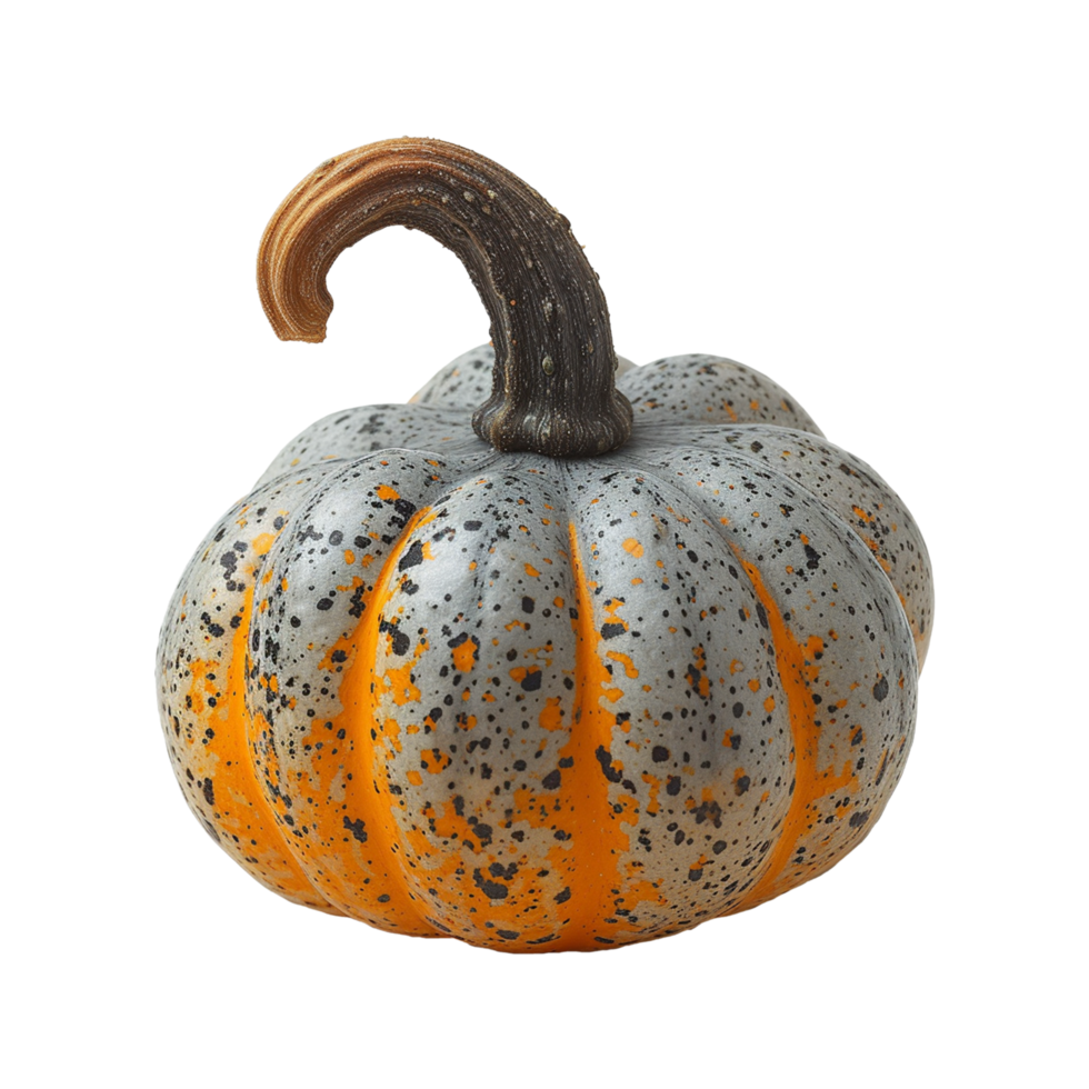 AI generated realistic pumpkin isolated on transparent background png