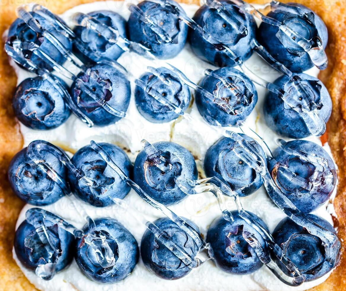 blueberry cake closeup photo