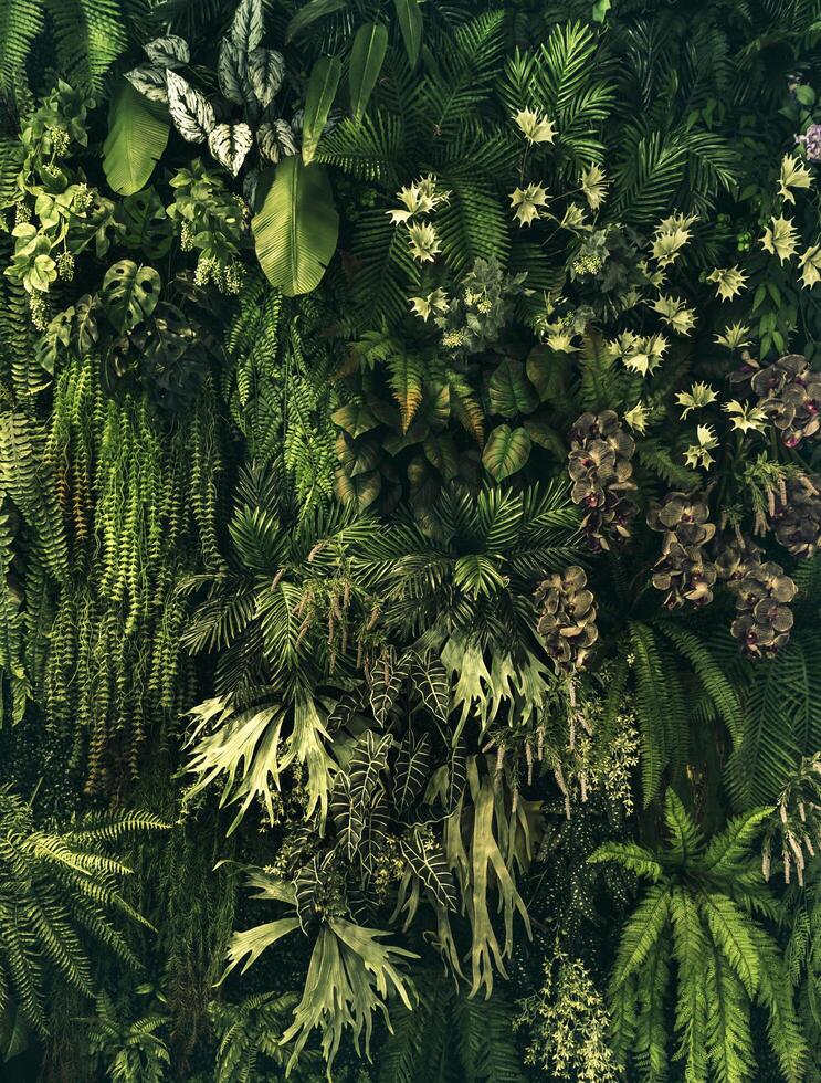 mezclado hoja con flor en pared para diseño Decorar foto