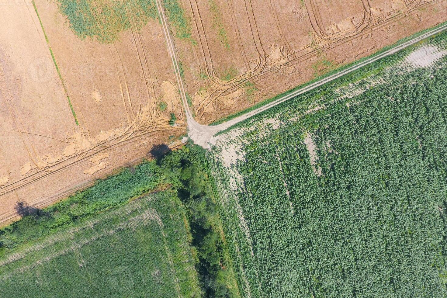 Crossroads paved roads through the fields. View from above photo