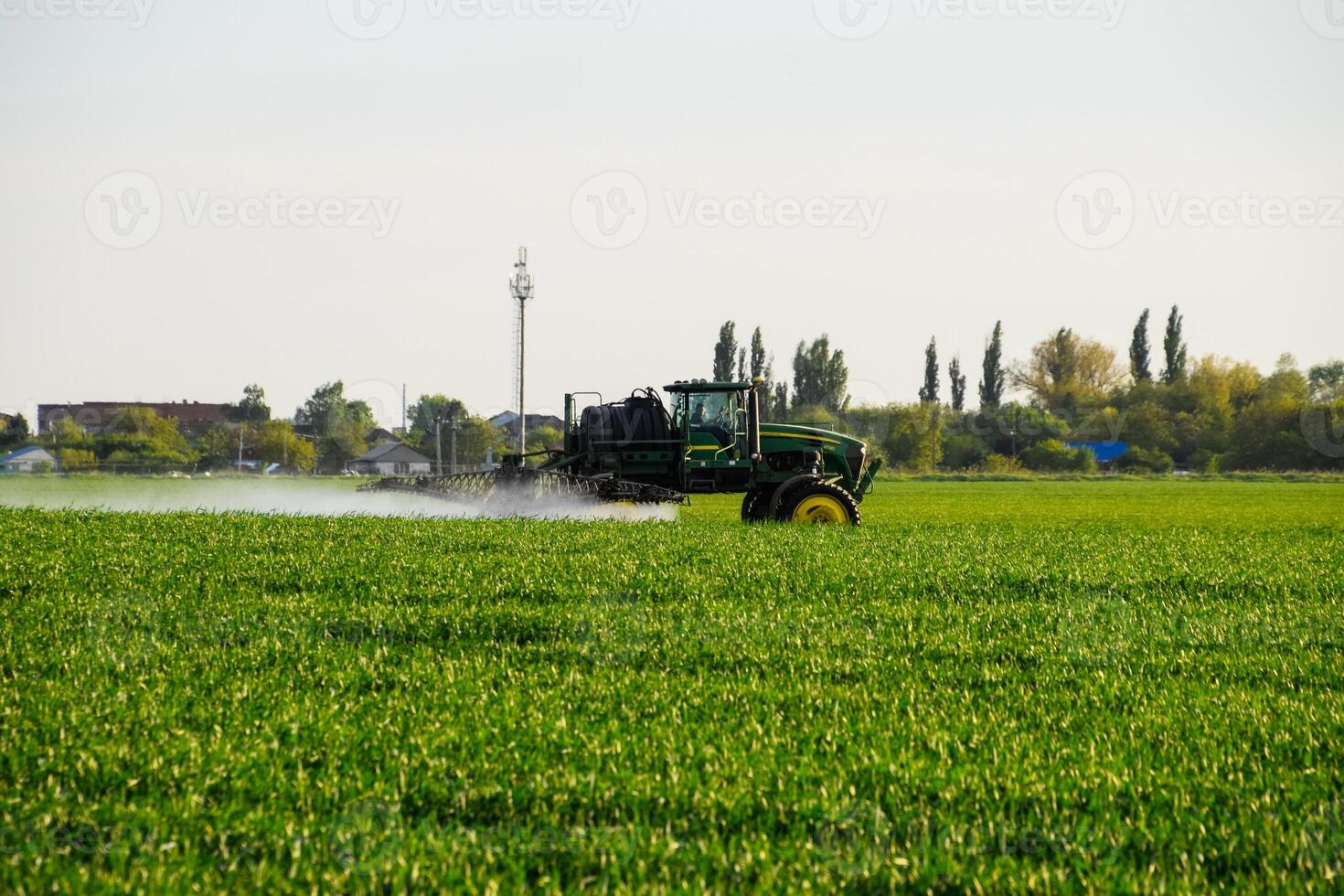 tractor with the help of a sprayer sprays liquid fertilizers on young wheat in the field. photo