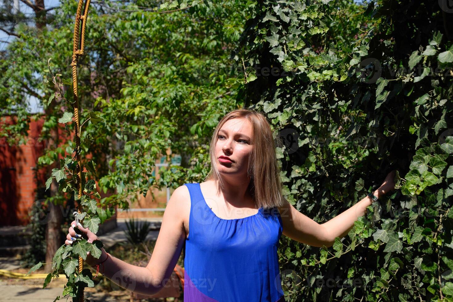 Portrait of a girl in a blue dress on background of green arbor of ivy. photo