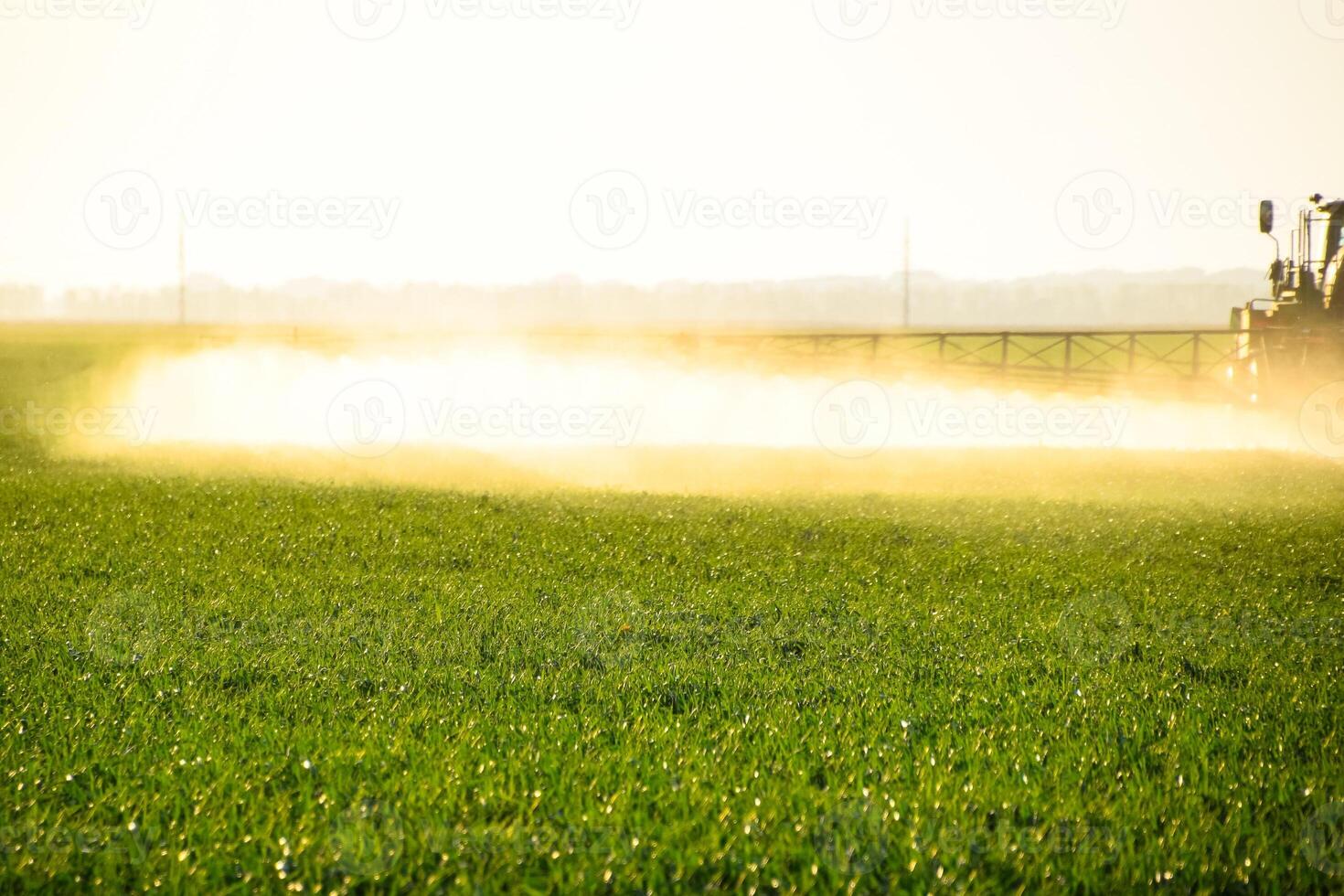 Jets of liquid fertilizer from the tractor sprayer. photo