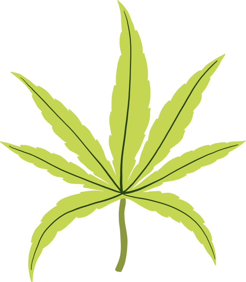 simplicity cannabis leaf freehand drawing png