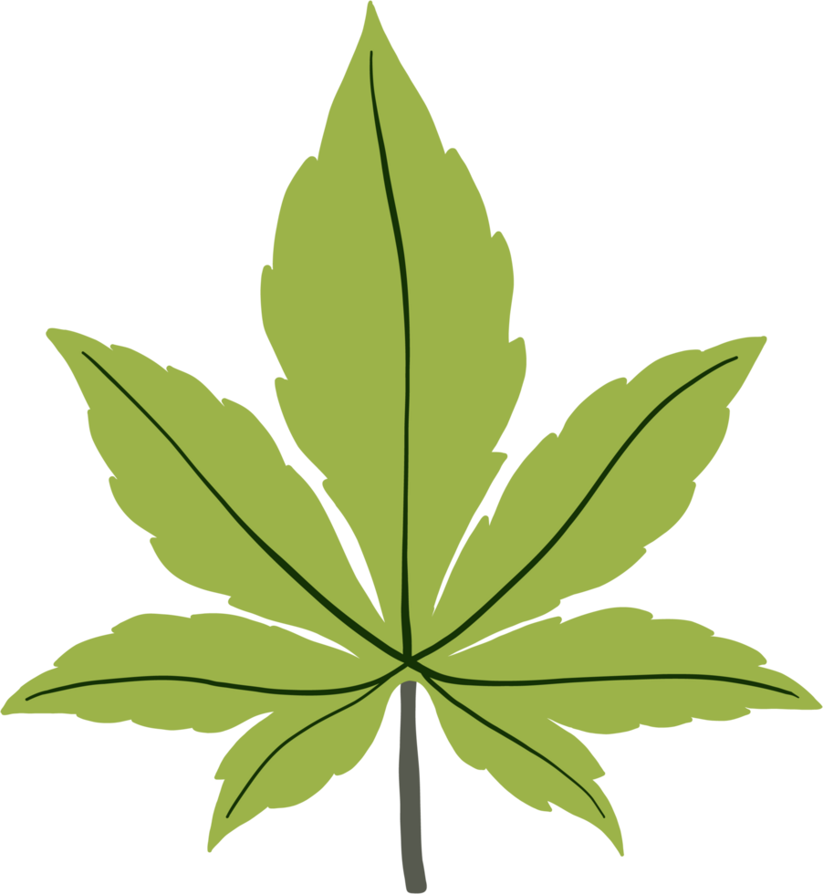 simplicity cannabis leaf freehand drawing png