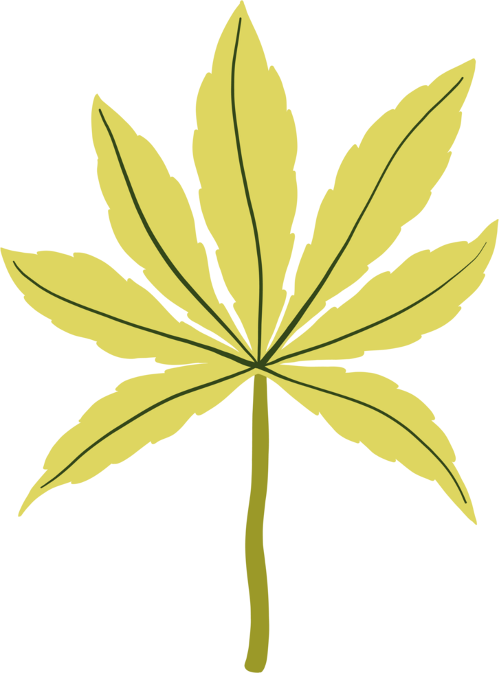 simplicity cannabis leaf freehand drawing png