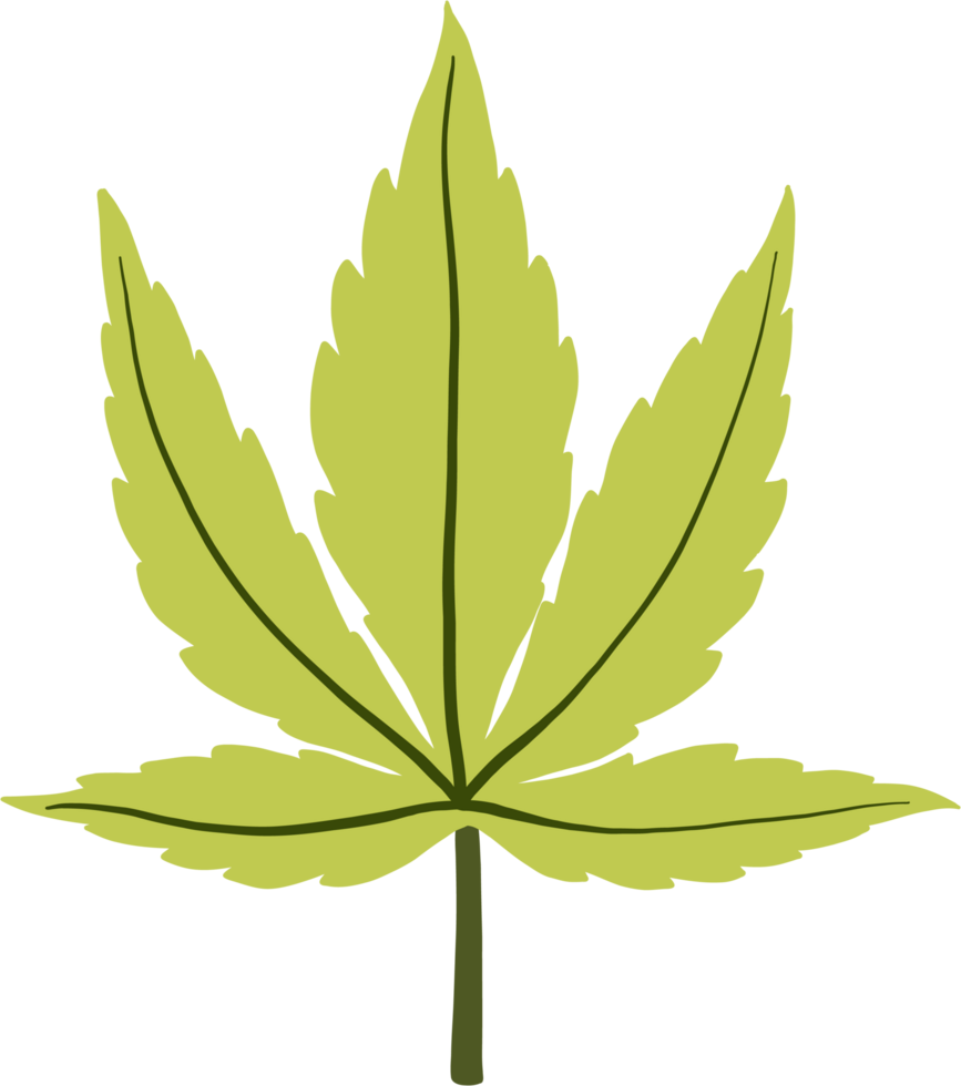 simplicity cannabis leaf freehand drawing png