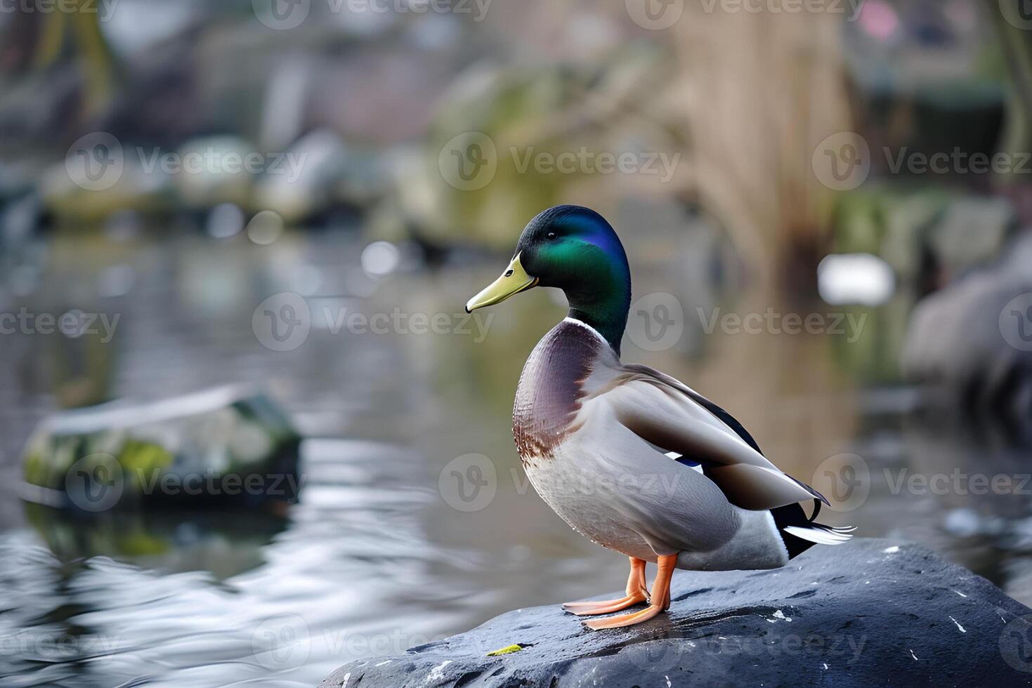 AI generated Quacktastic Elegance A Mesmerizing CloseUp of a Graceful Duck. photo