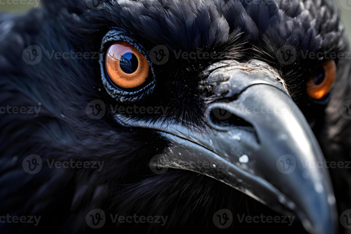 AI generated Raven Reverie A Captivating CloseUp of a Majestic Crow. photo