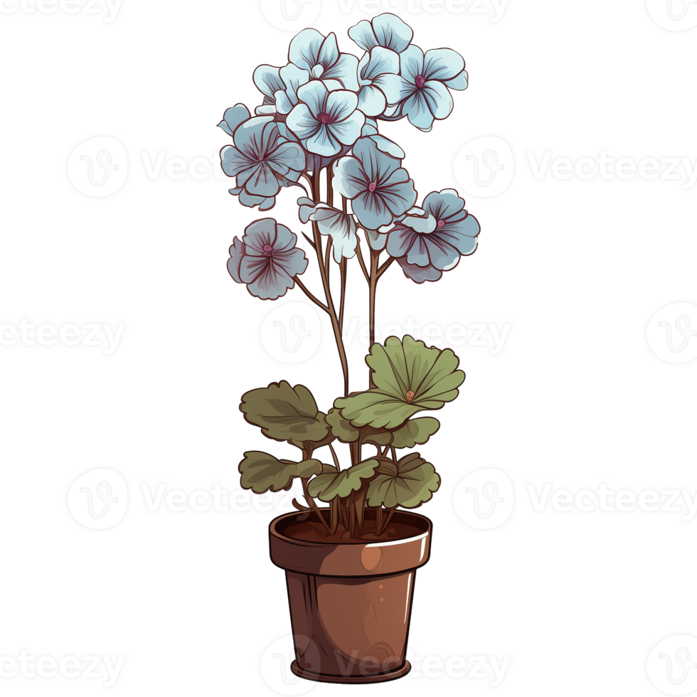 AI generated Geranium flowers illustration on transparent background png