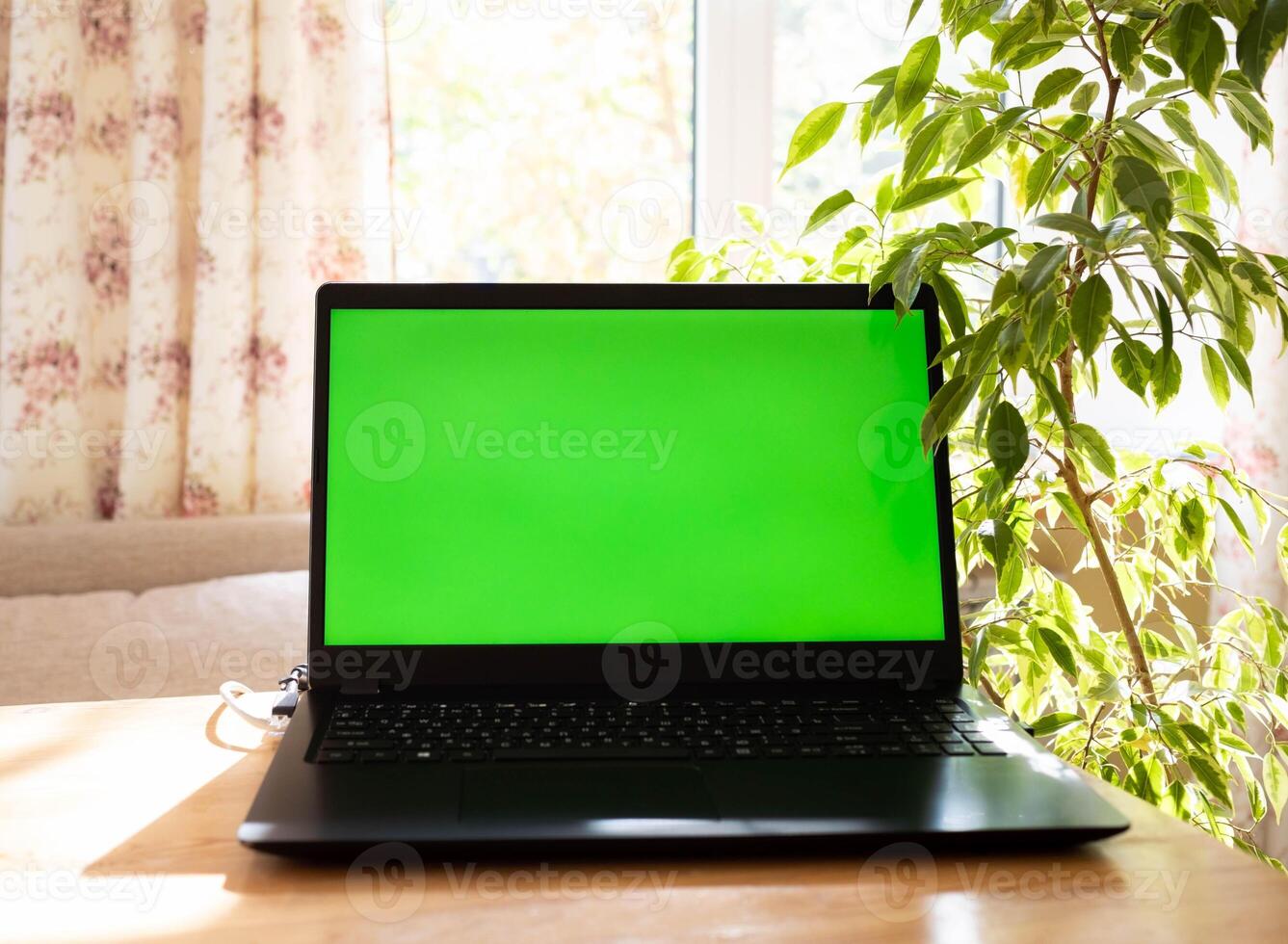 Black laptop with green screen mock up on table with houseplant near it in sunlit living room. photo