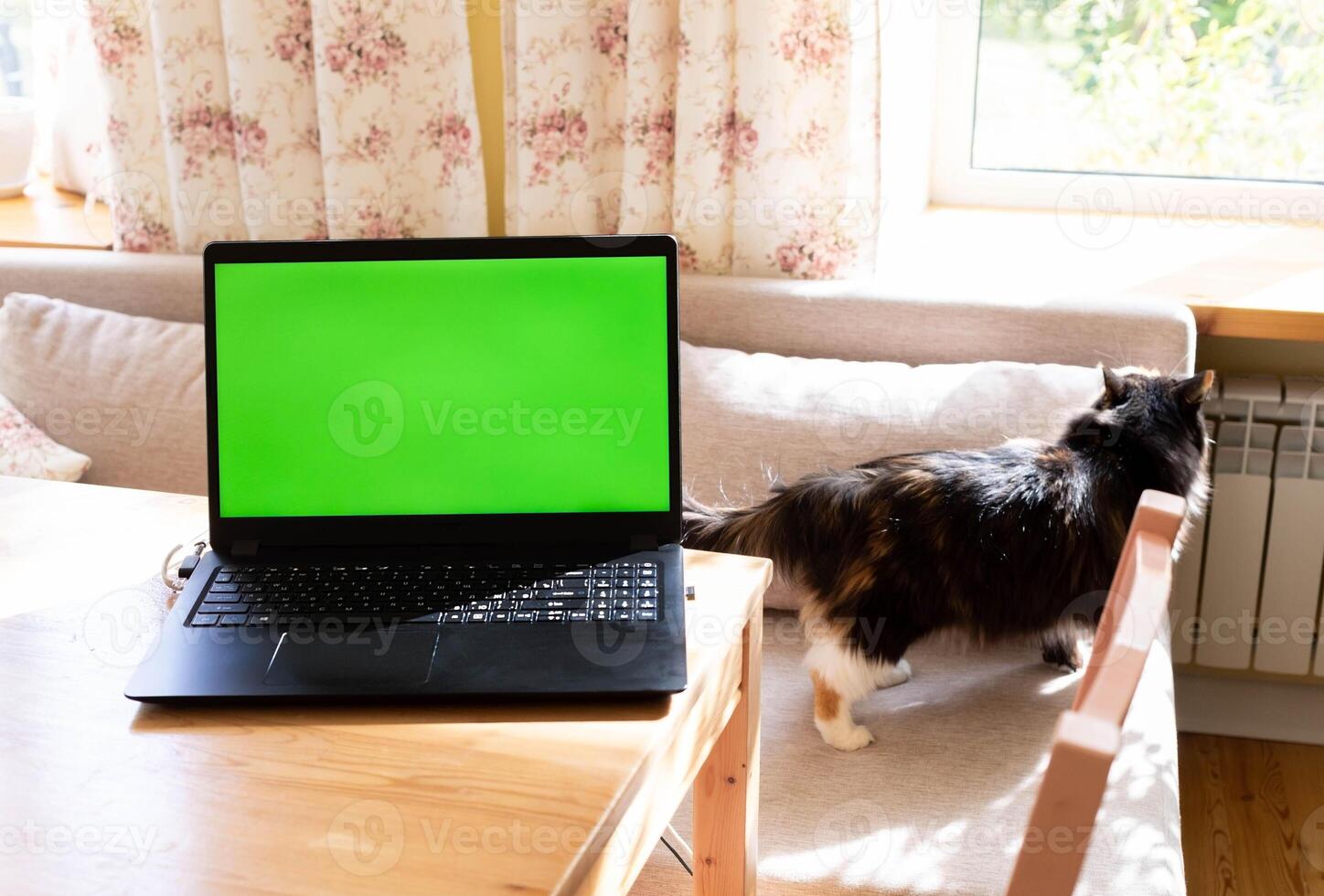 Cozy home workplace with laptop with green screen mock up on desk and pet cat on sofa. Soft focus. photo