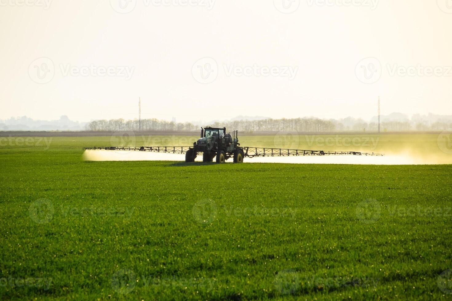 tractor con el ayuda de un rociador aerosoles líquido fertilizantes en joven trigo en el campo. foto