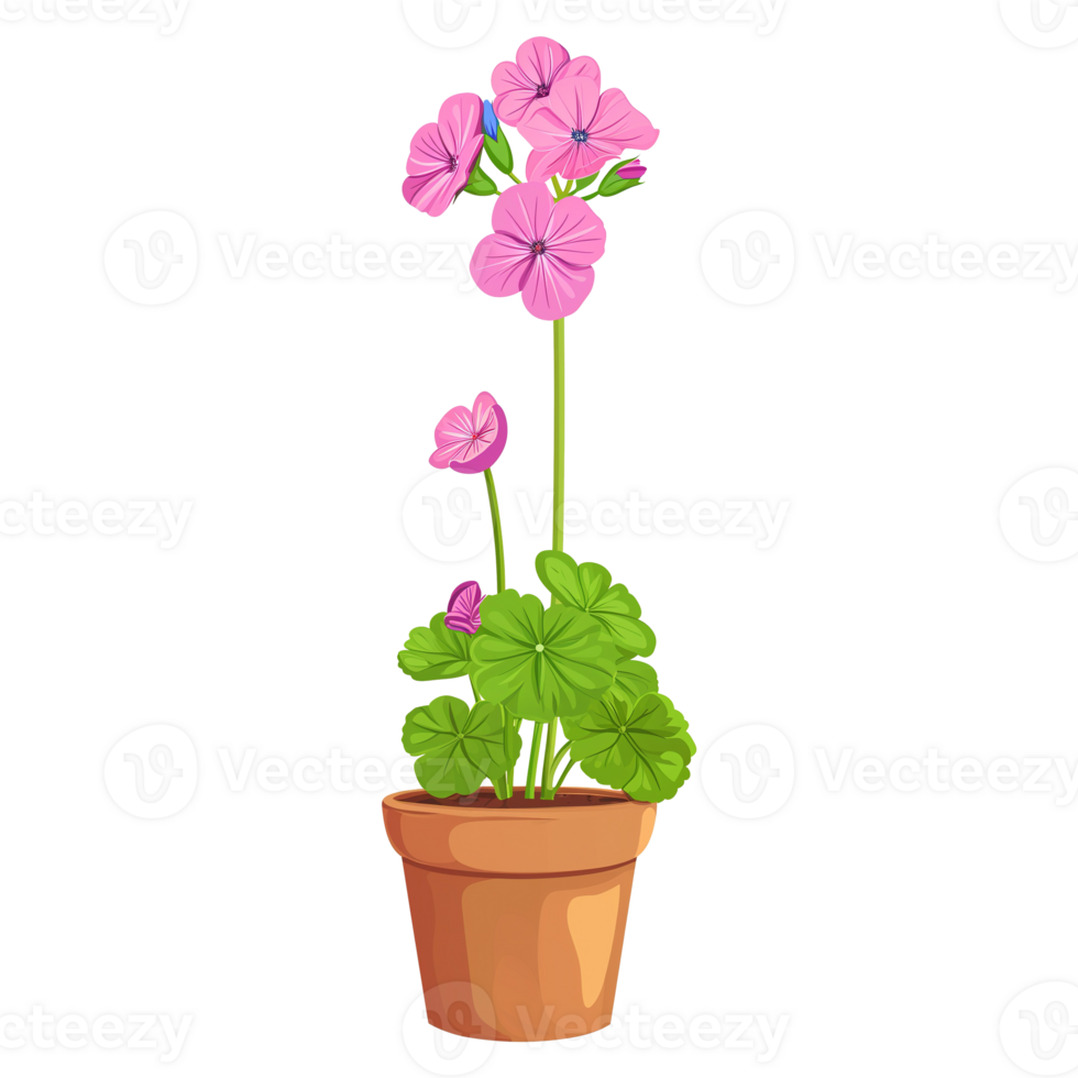AI generated Geranium flowers illustration in pot isolated on transparent background png
